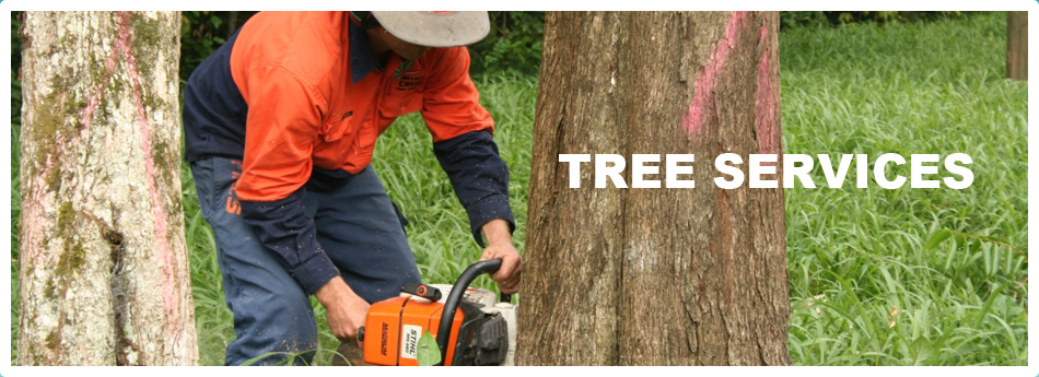 In-Touch Tree Services